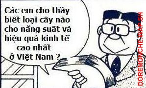 321 giaitri .wap.sh wap giải trí pro