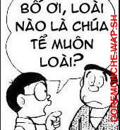 321 giaitri .wap.sh wap giải trí pro